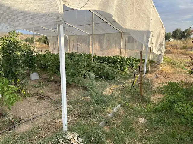 Rustikales Grundstück zum Verkauf in Diseminado Vega Chinchon, imagen 42