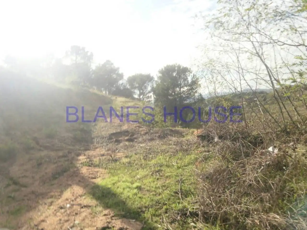 Terreno residencial en venta en Mas Altaba - El Molí