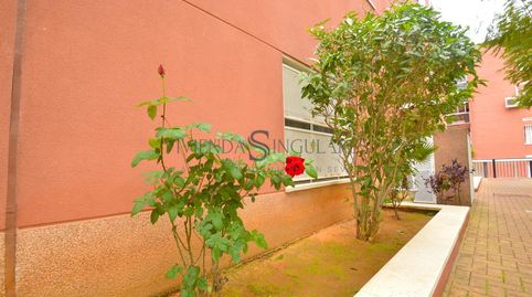 Photo 3 of Detached homes for sale in El Cano - Los Bermejales, Sevilla Capital