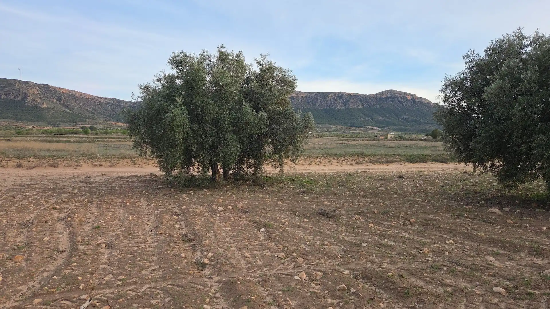 Terrenos y solares en venta en N/A, imagen 2