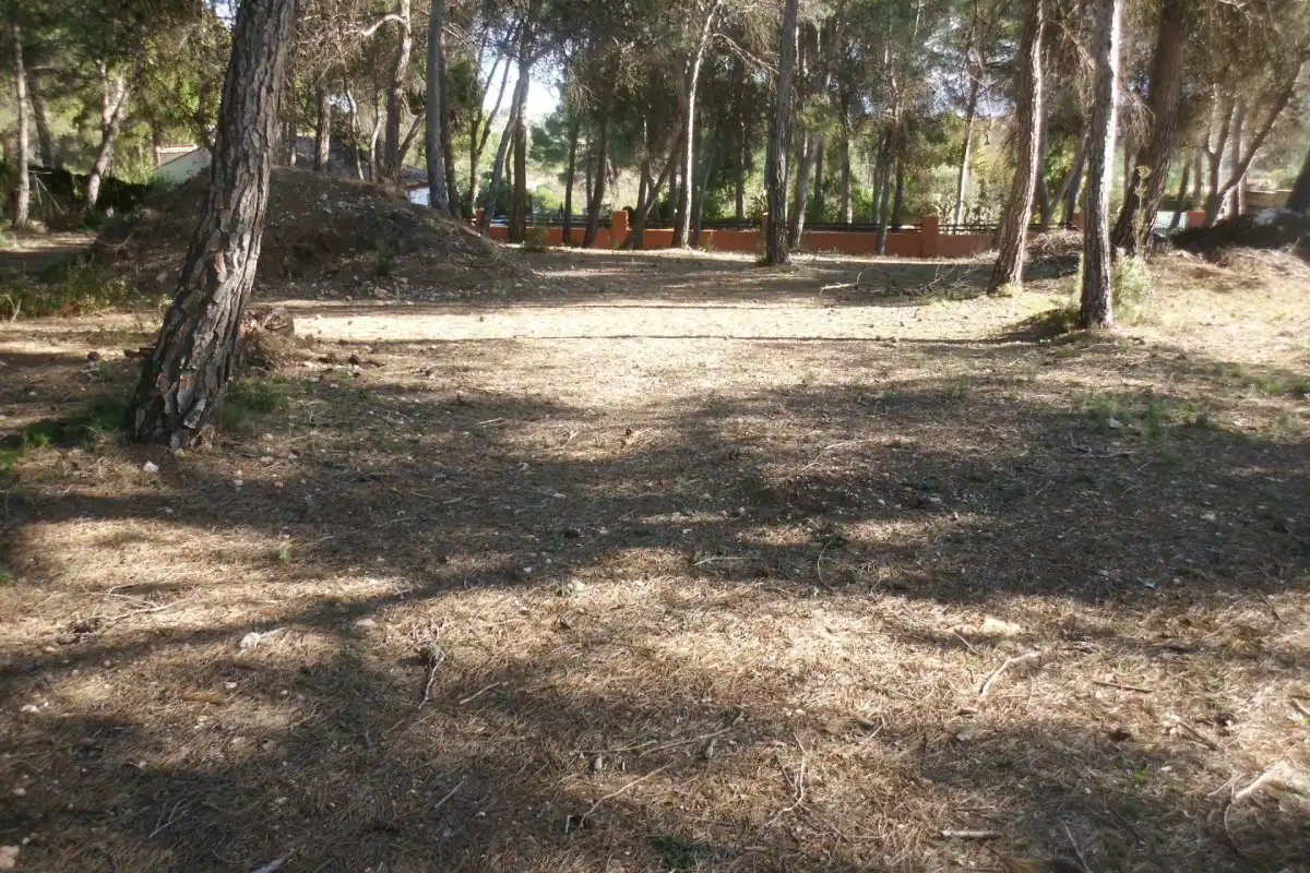 Rural land for sale in El Pilar, imagen 4