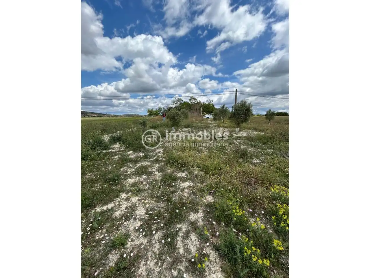 Terreno rustico in vendita a Sineu, imagen 10