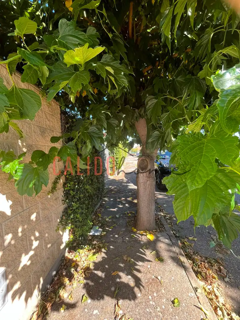 Terreni e lotti in vendita a Villaralbo, imagen 10