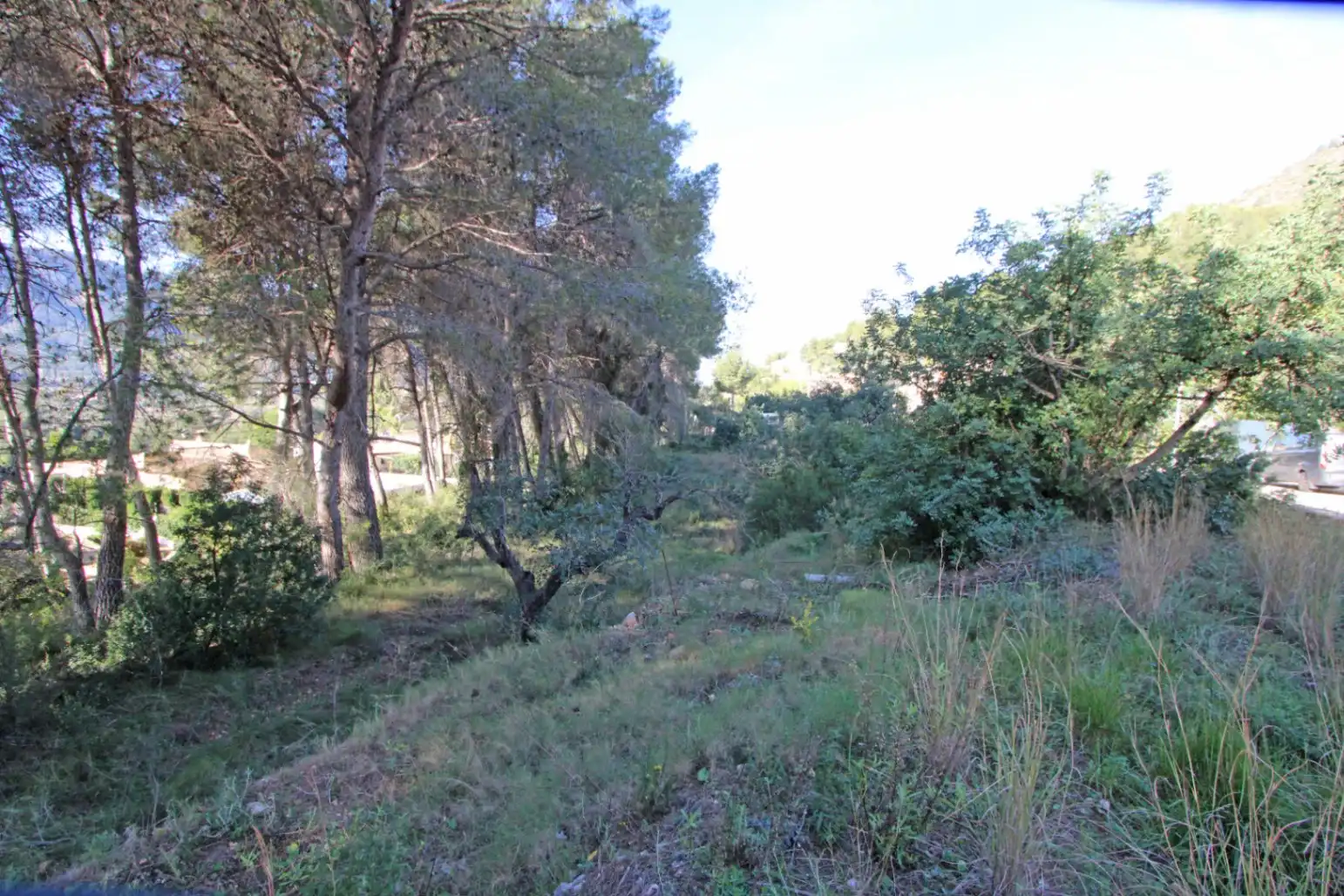 Terreny residencial en venda a Alcalalí