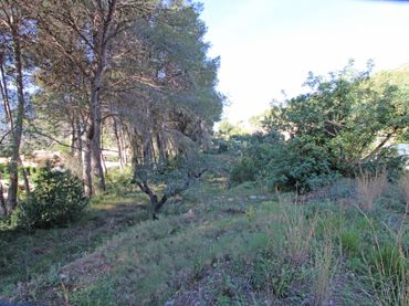 Wohnbaugrundstück zum Verkauf in Alcalalí
