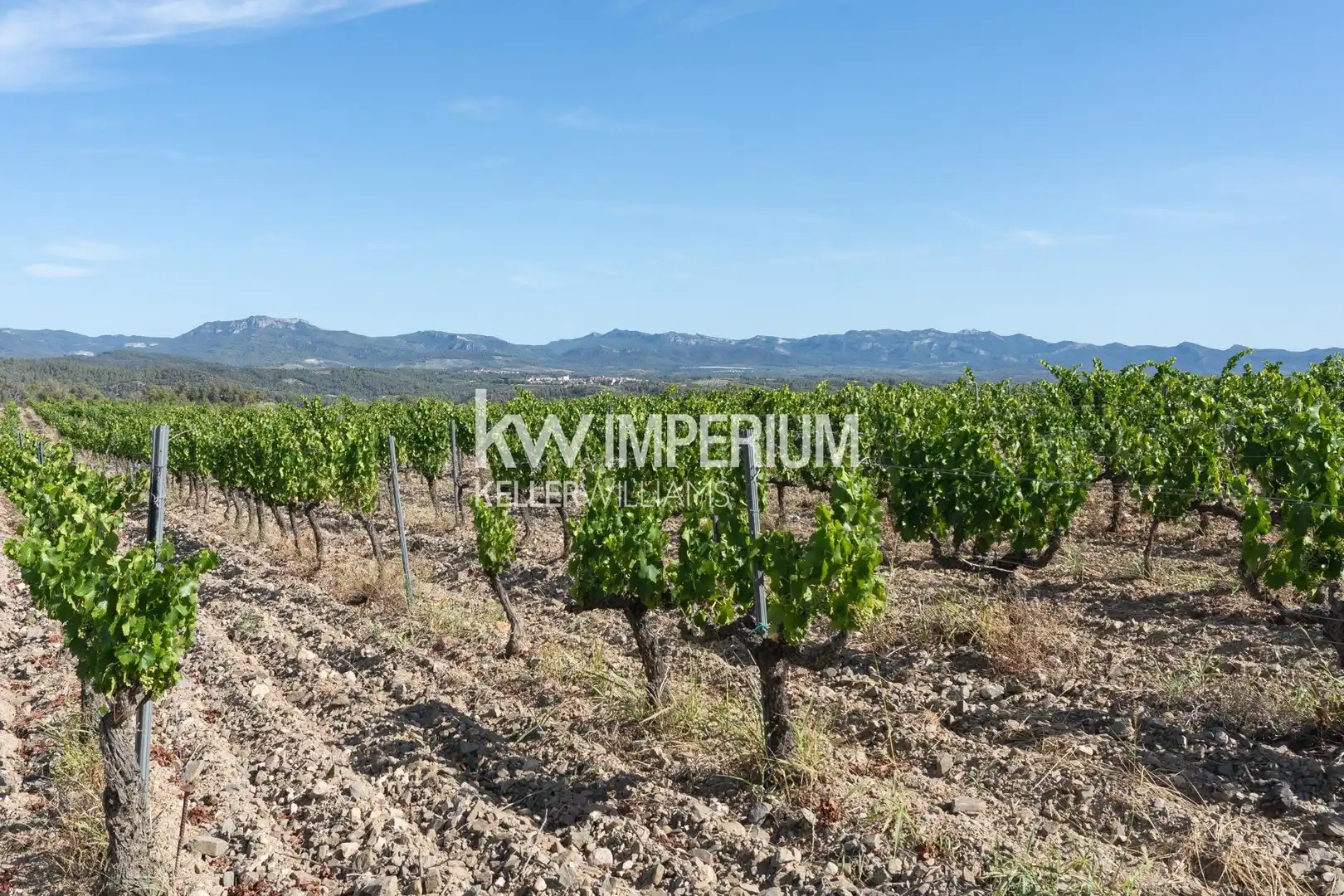Finca rústica en venda en El Molar (Tarragona) amb Aire condicionat, Calefacció i Jardí privat