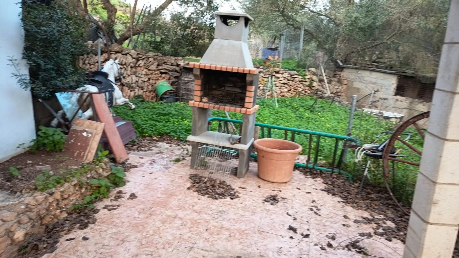 Jardí de Planta baixa de lloguer en  Palma de Mallorca amb Terrassa