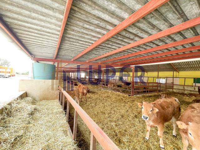 Finca rústica en Venta en Pla de la Vallonga