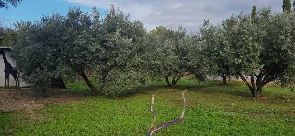 Haus zum Verkauf in Alhama de Murcia ciudad, imagen 15