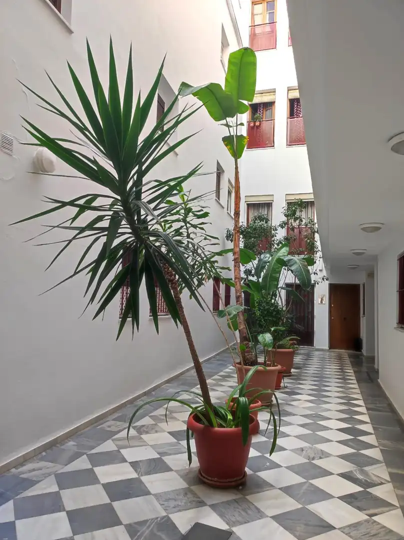 Flat with lift for sale in La Caleta - La Viña, imagen 25