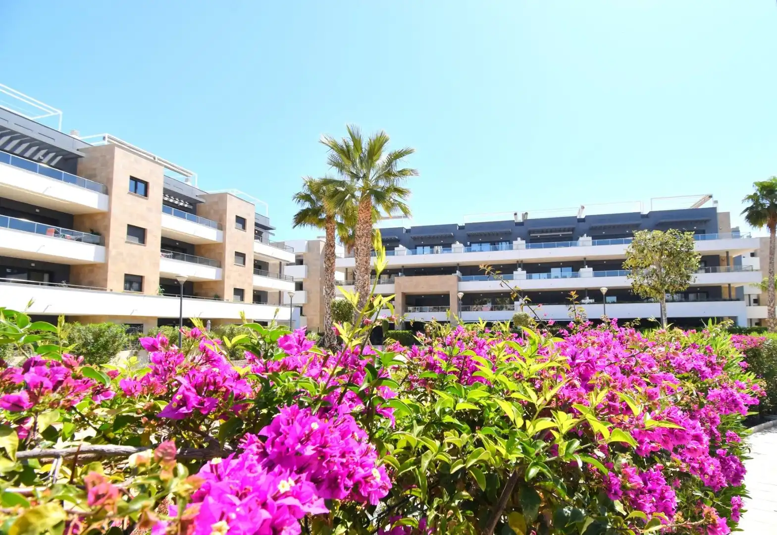 Appartement compact avec piscine à vendre à Orihuela Costa, imagen 22