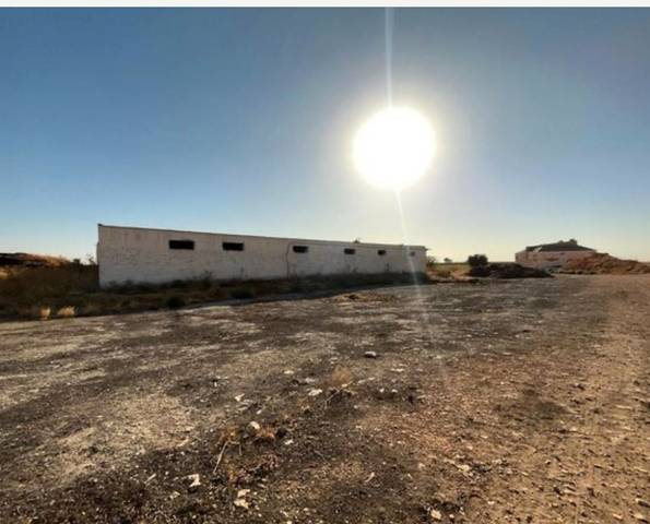 Terreno en Venta en Carretera Manzanares en Argamasilla de Alba