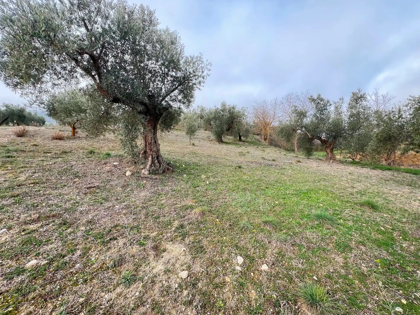Country homes for sale in Padul  with Heating