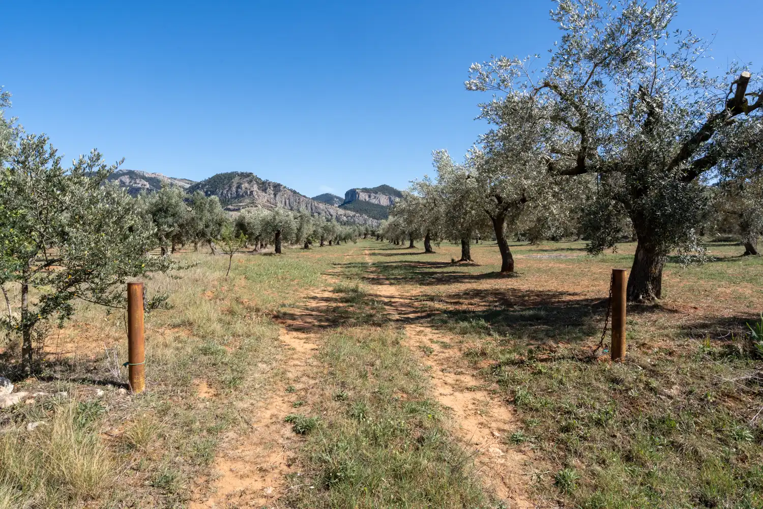Rural land for sale in Raval dels Àngels 18, imagen 29