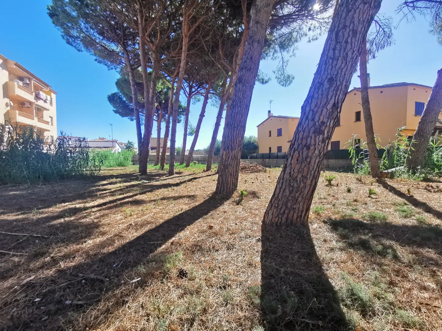 Residential land for sale in Carrer Riells de Dalt, imagen 3