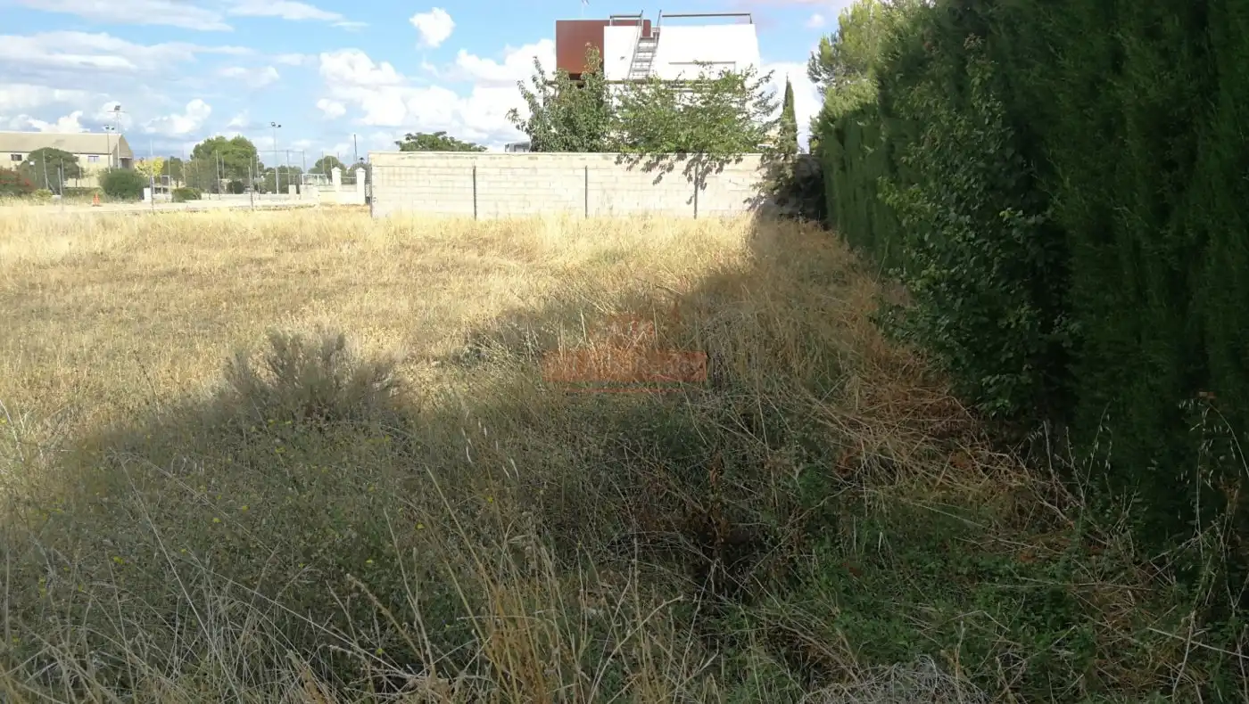 Lands and plots for sale in Chinchilla de Monte-Aragón, imagen 10