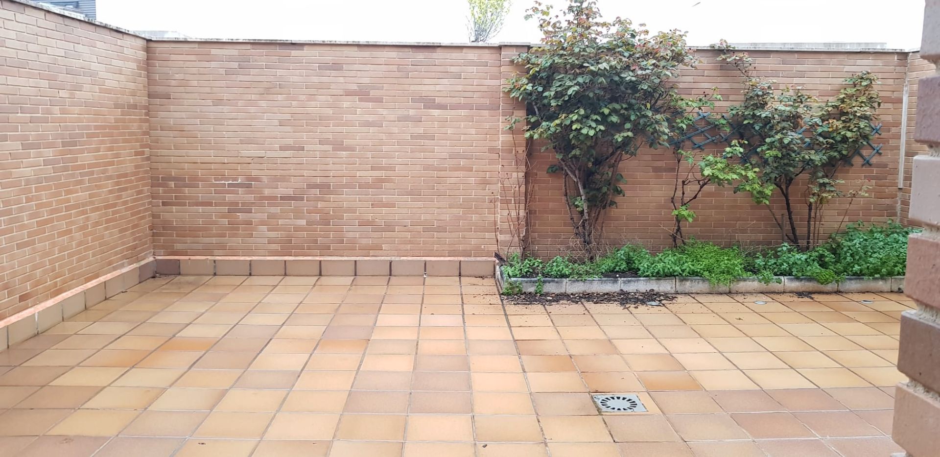 Terrace of Single-family semi-detached for rent in  Albacete Capital  with Heating and Private garden