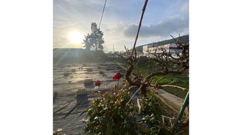 Photo 5 of Houses for sale in Avenida Selva, Amer, Girona