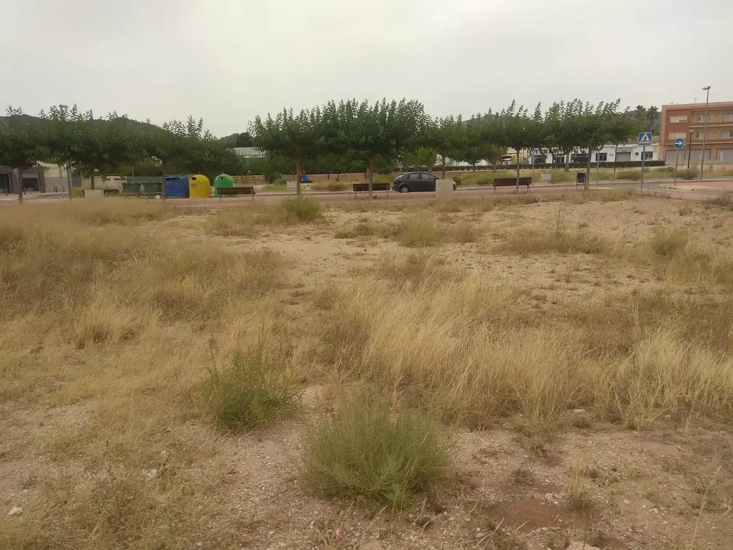 Terreny rústic en venda a CL EL CAMPELLO, imagen 12