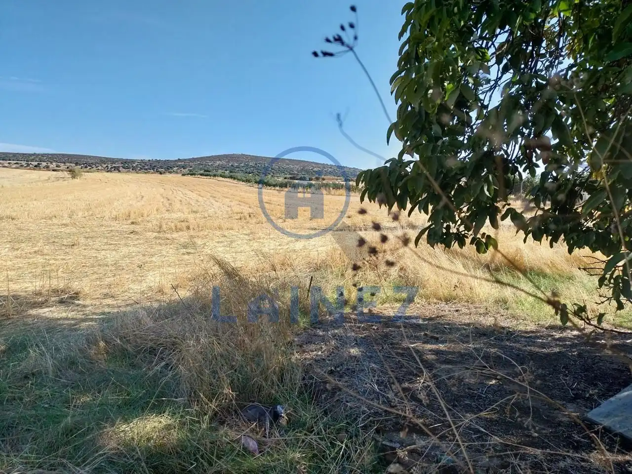 Terreny rústic en venda a Hinojosa del Duque, imagen 47
