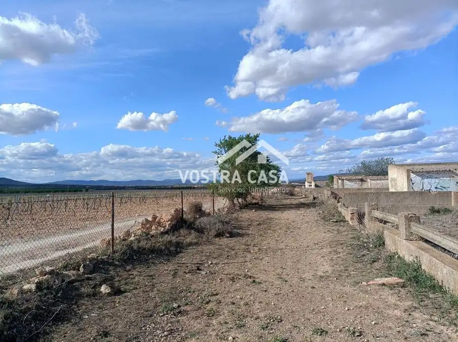 Terreny rústic en venda a PARAJE DE LA CERCA, imagen 12