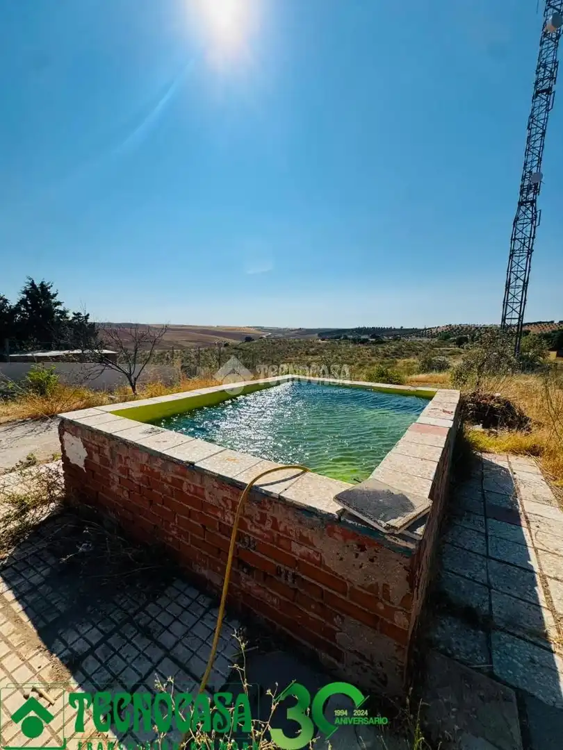 Piscina de Casa o xalet en venda en Albarreal de Tajo amb Traster i Moblat