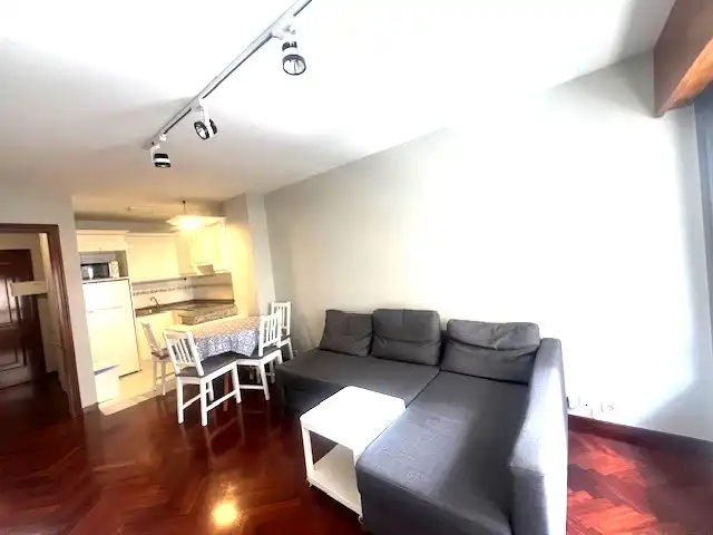 Wohnzimmer von Wohnung zur Miete in A Coruña Capital  mit Heizung, Parkett und Terrasse