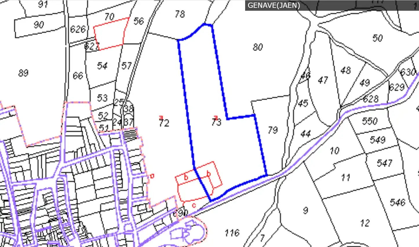 Terreno en venta en Génave