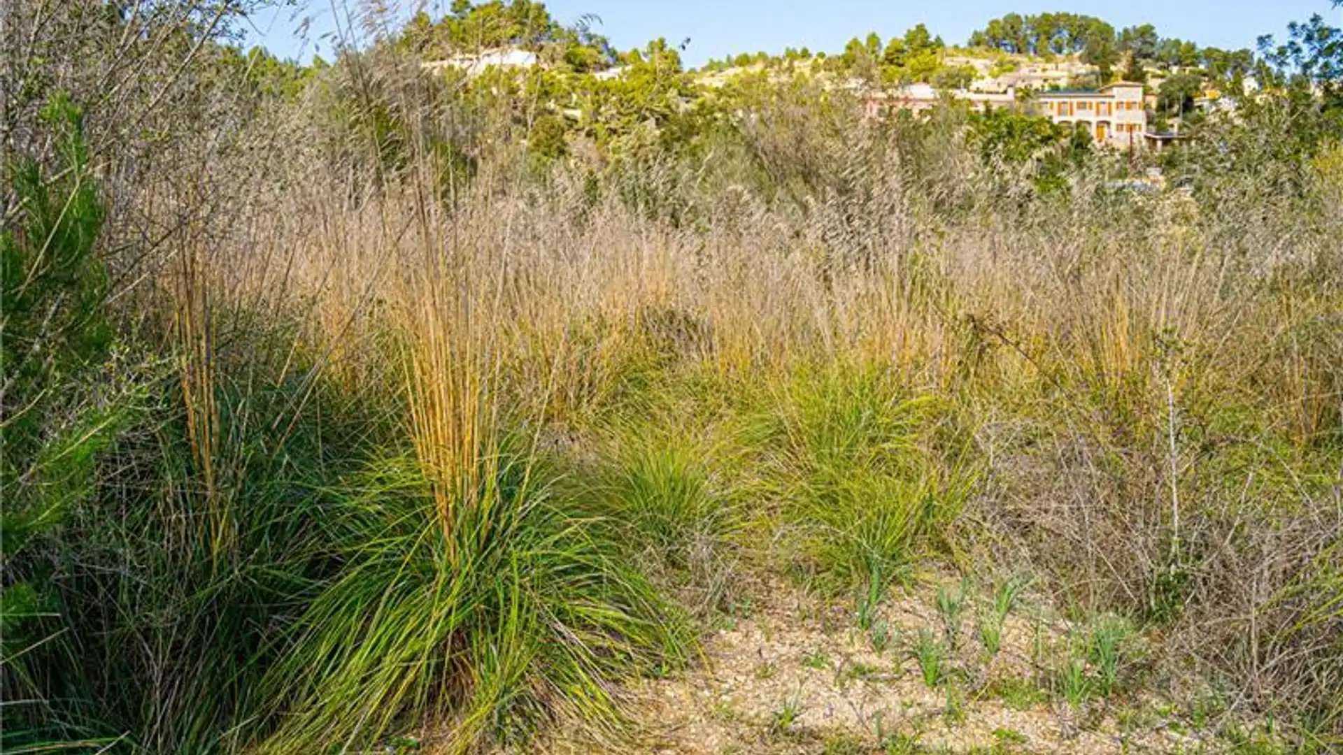 Residencial en venta en Puigpunyent