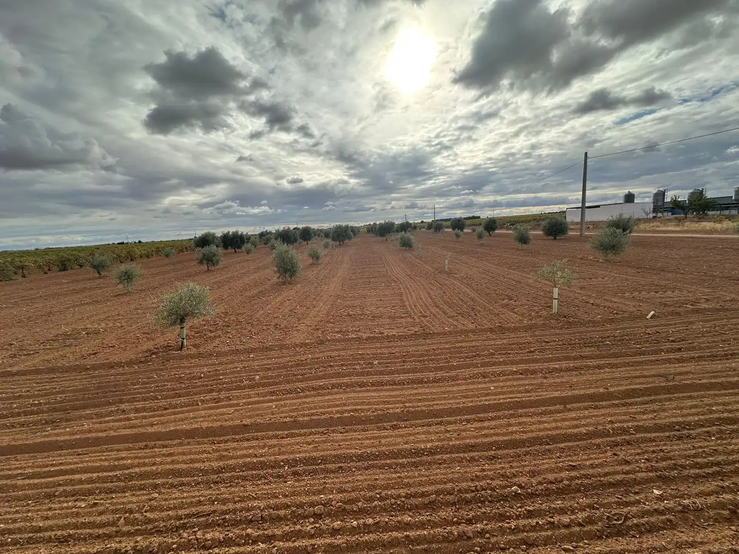 Finca rústica en venda en Quintanar de la Orden amb Terrassa i Traster