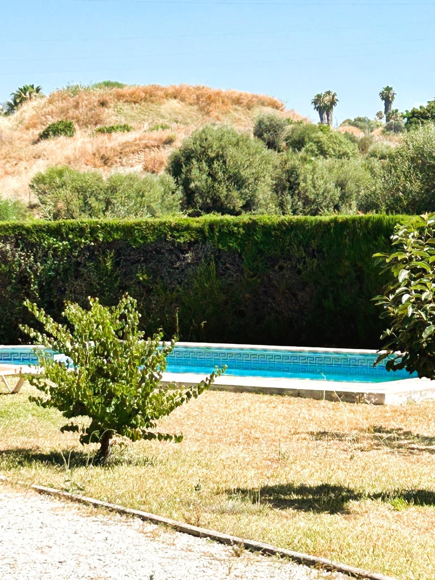 Jardín de Finca rústica en venta en Estepona con Jardín privado, Terraza y Piscina