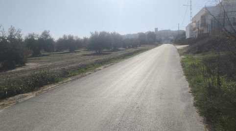 Se vende gran solar junto al municipio de Mengibar, immagine 4