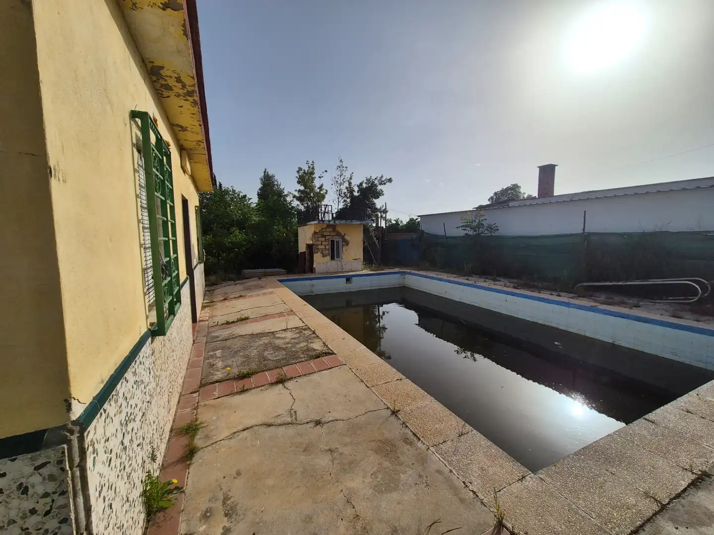 Swimming pool of Houses for sale in Alcalá de Guadaira  with Private garden and Swimming Pool