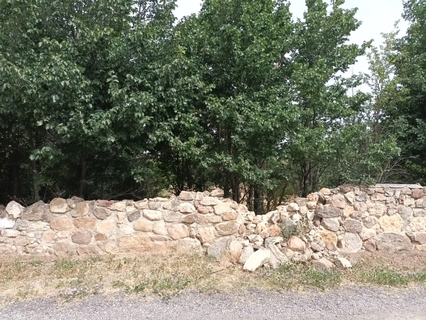 Terreni e lotti in vendita a LAS ANGUSTIAS (PARCELA 12), imagen 13