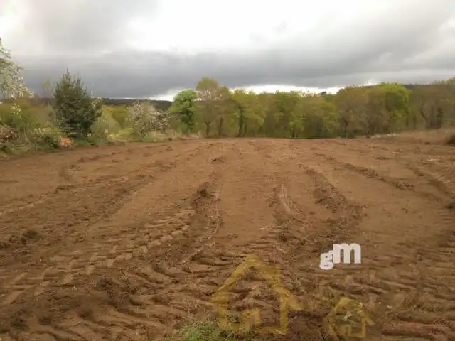 Terreni e lotti in vendita a Guimarei, imagen 2