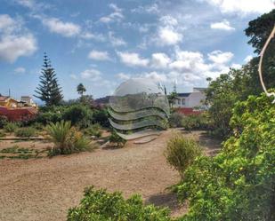 Jardí de Casa o xalet en venda en San Miguel de Abona amb Terrassa, Piscina i Balcó