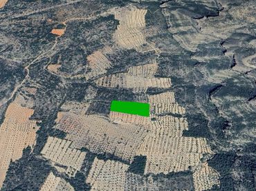 Rustikales Grundstück zum Verkauf in Partida Sacaras