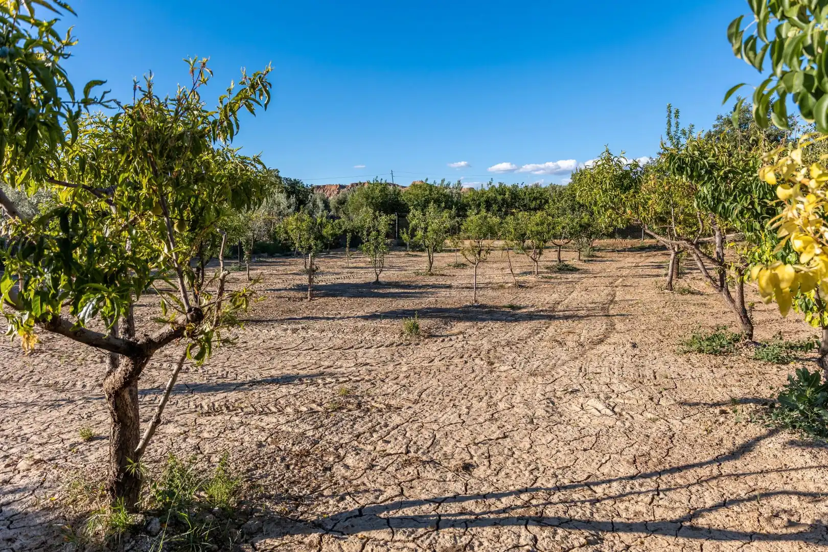 Casa o xalet en venda en Guadix amb Aire condicionat, Calefacció i Jardí privat