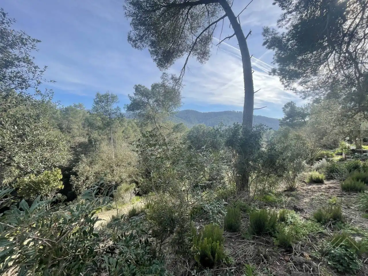 Rural land for sale in Avenida Modolell, imagen 6