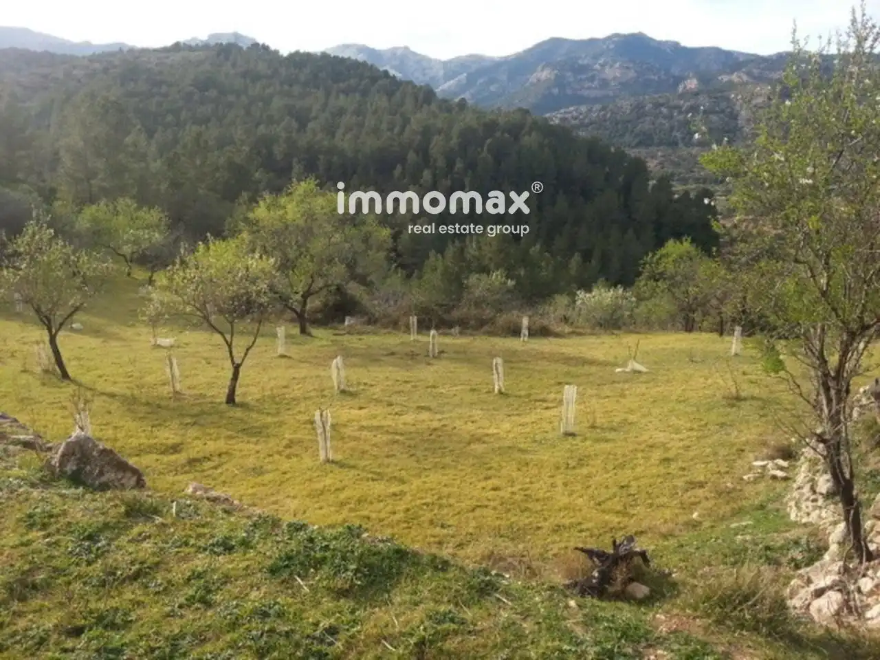 Casa o xalet en venda en Paüls