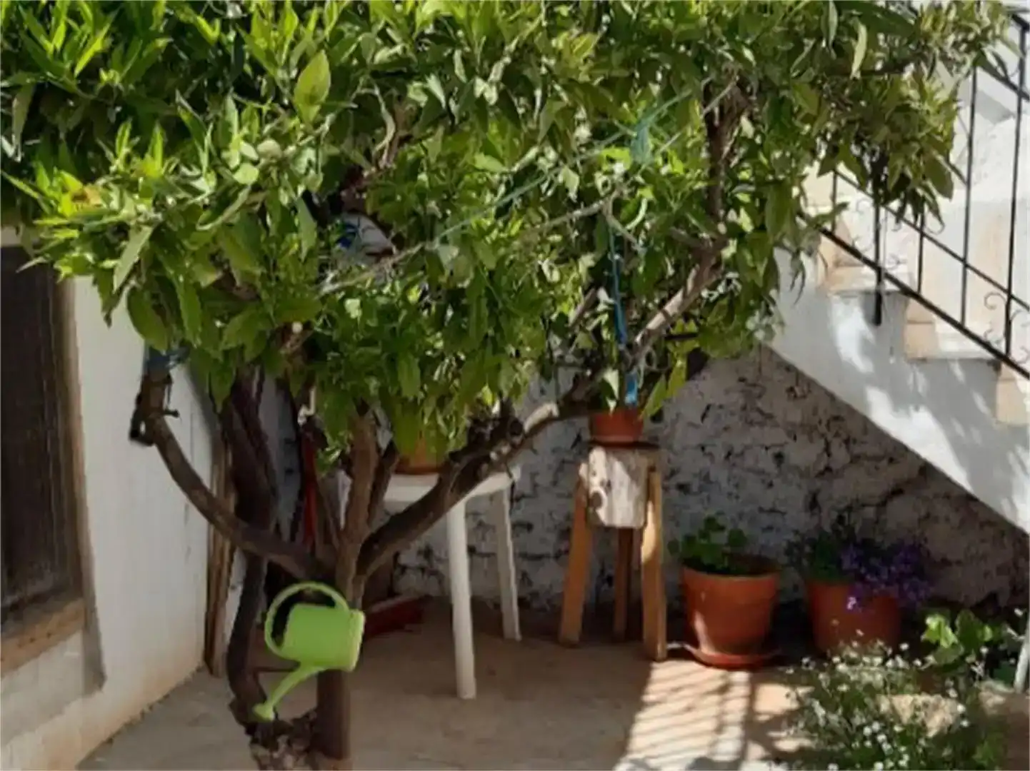Terraza de Planta baja en venta en Pozo Alcón con Balcón