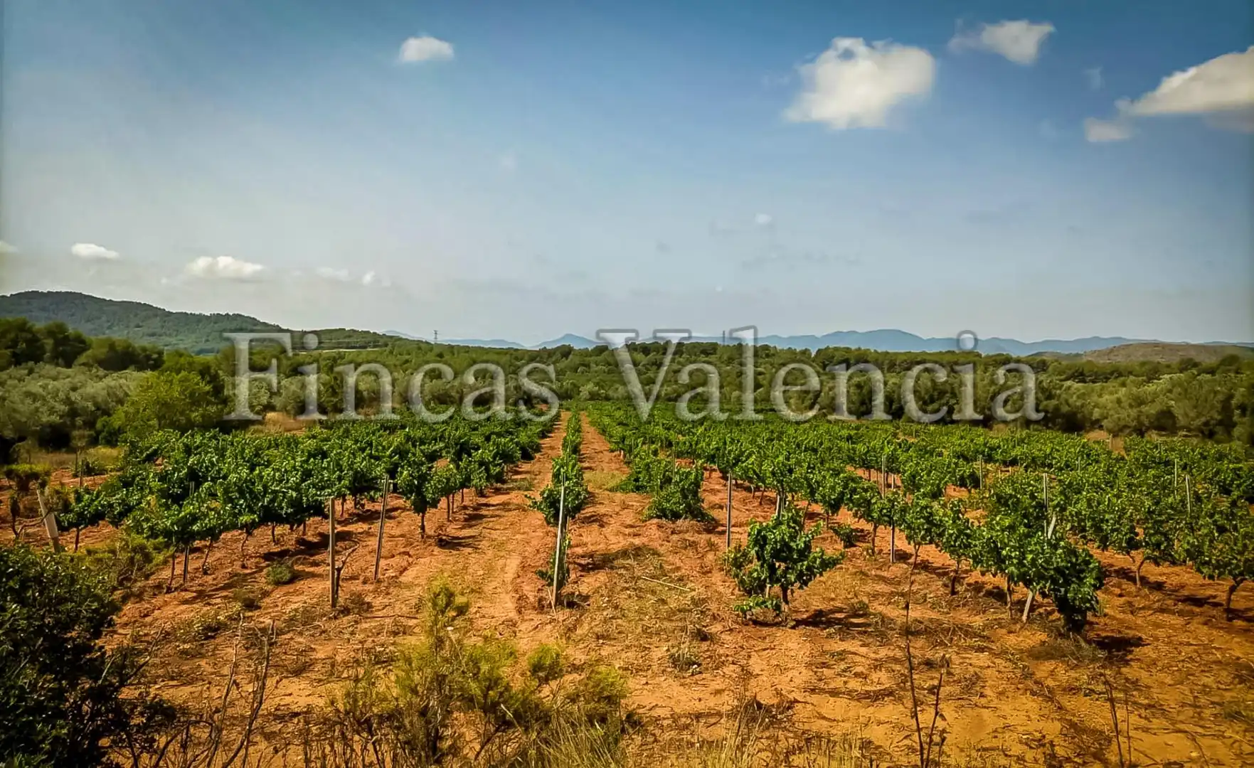 Country homes for sale in Calle SONEJA, Azuébar