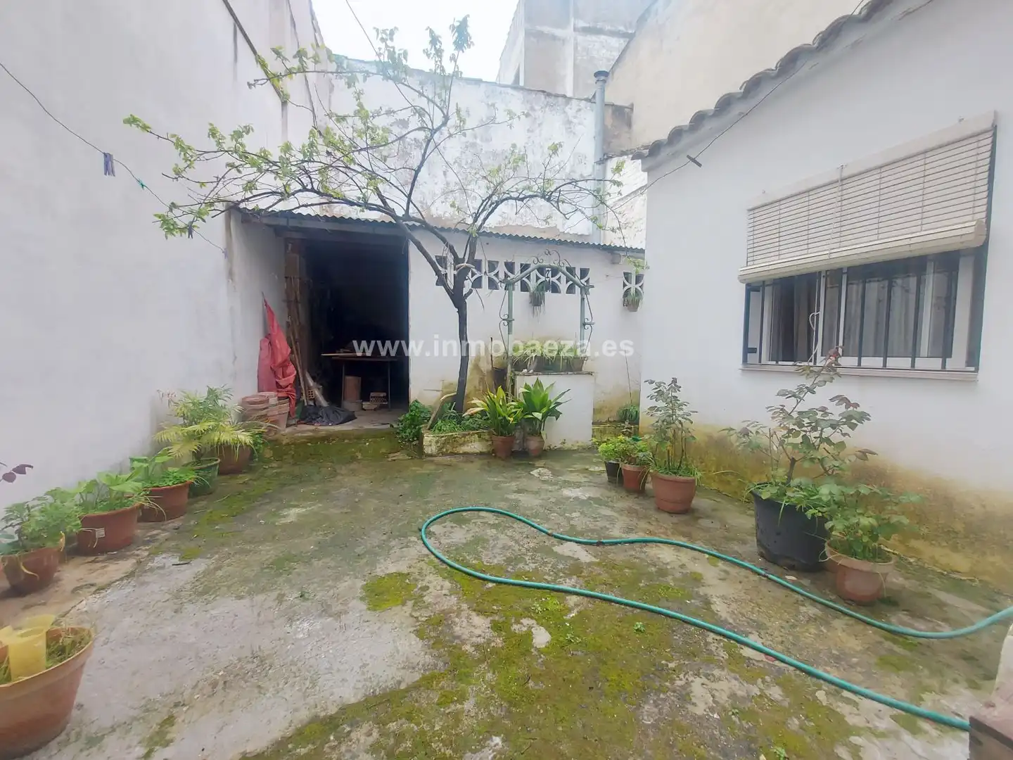 Casa amb terrassa en venda a Baeza