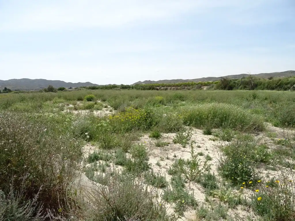 Country homes for sale in Aspe