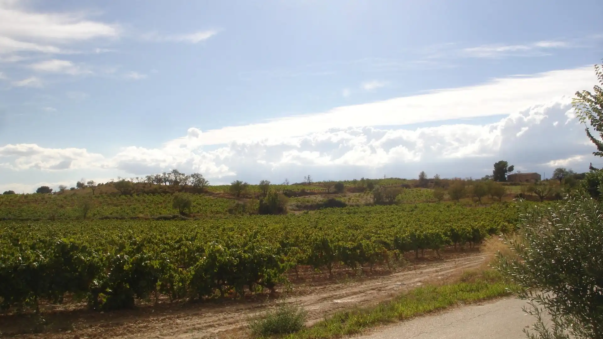 Finca rústica en venta en Barceloneta - Molí d'en Rovira