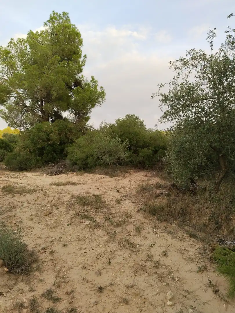 Terreno en venta en L'Albagés