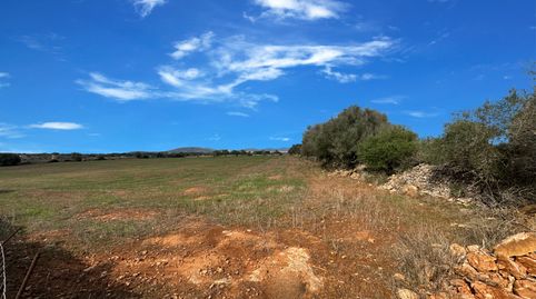 Exclusivo terreno entre Santanyi y Cala Santanyi con 20.000 m., imatge 2