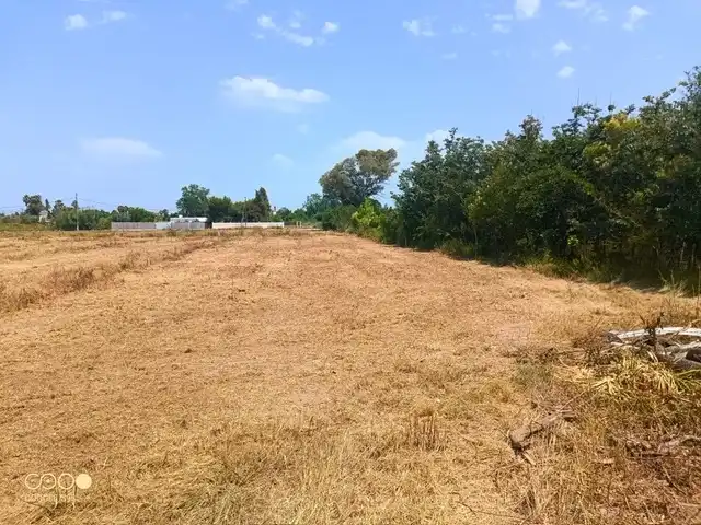 Rural land for sale in Carretera de la Donació, imagen 5