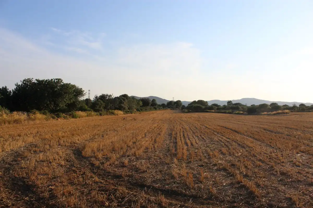 Terreno rústico en venta en Banyeres del Penedès, imagen 3