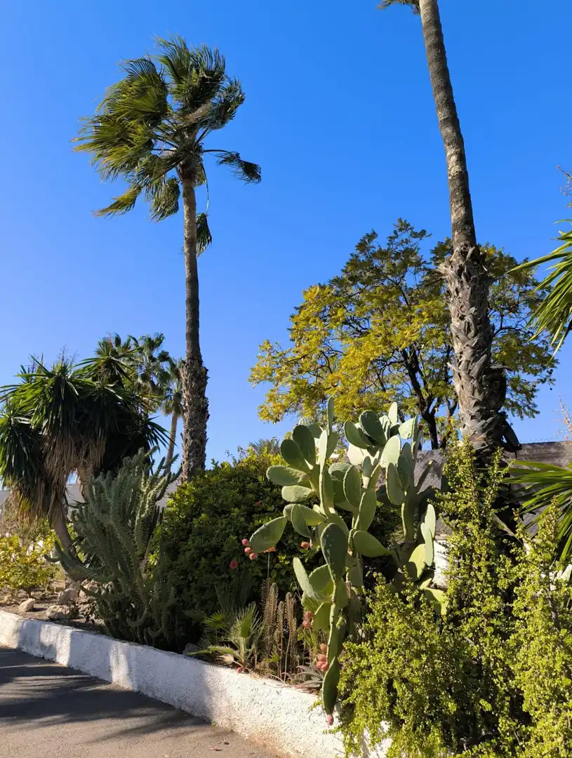 Villa avec piscine à vendre à Peña de las Águilas, imagen 25